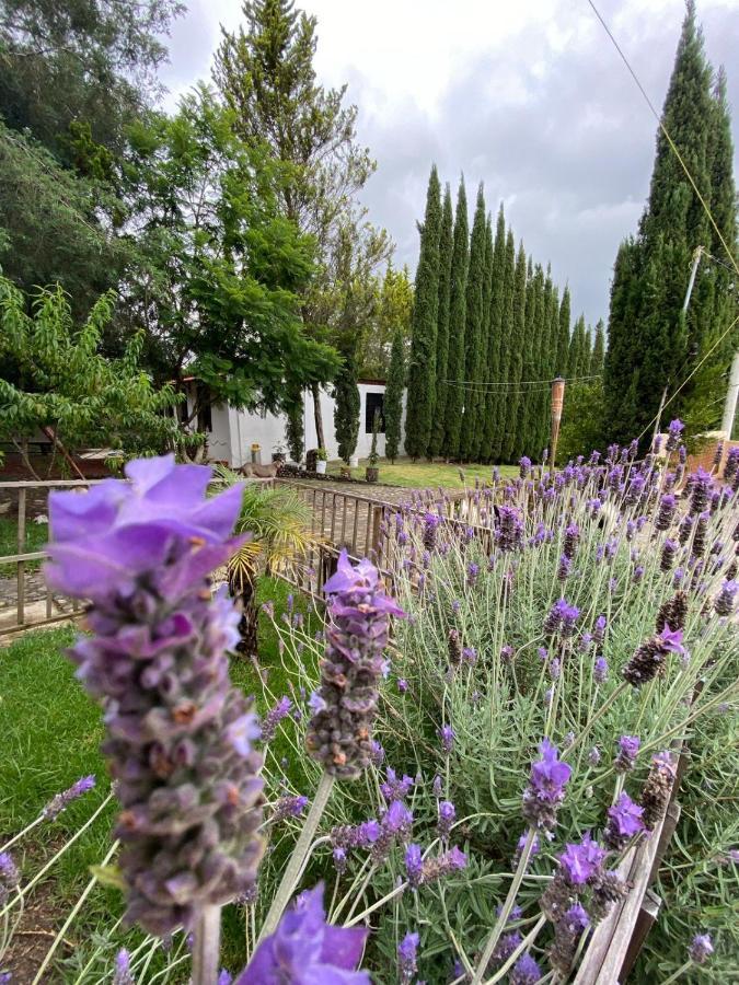 Hotel Boutique Calderon Huasca de Ocampo Exteriér fotografie